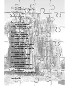 Das Gedicht von einem Traum als Puzzle - Mathias Bscher